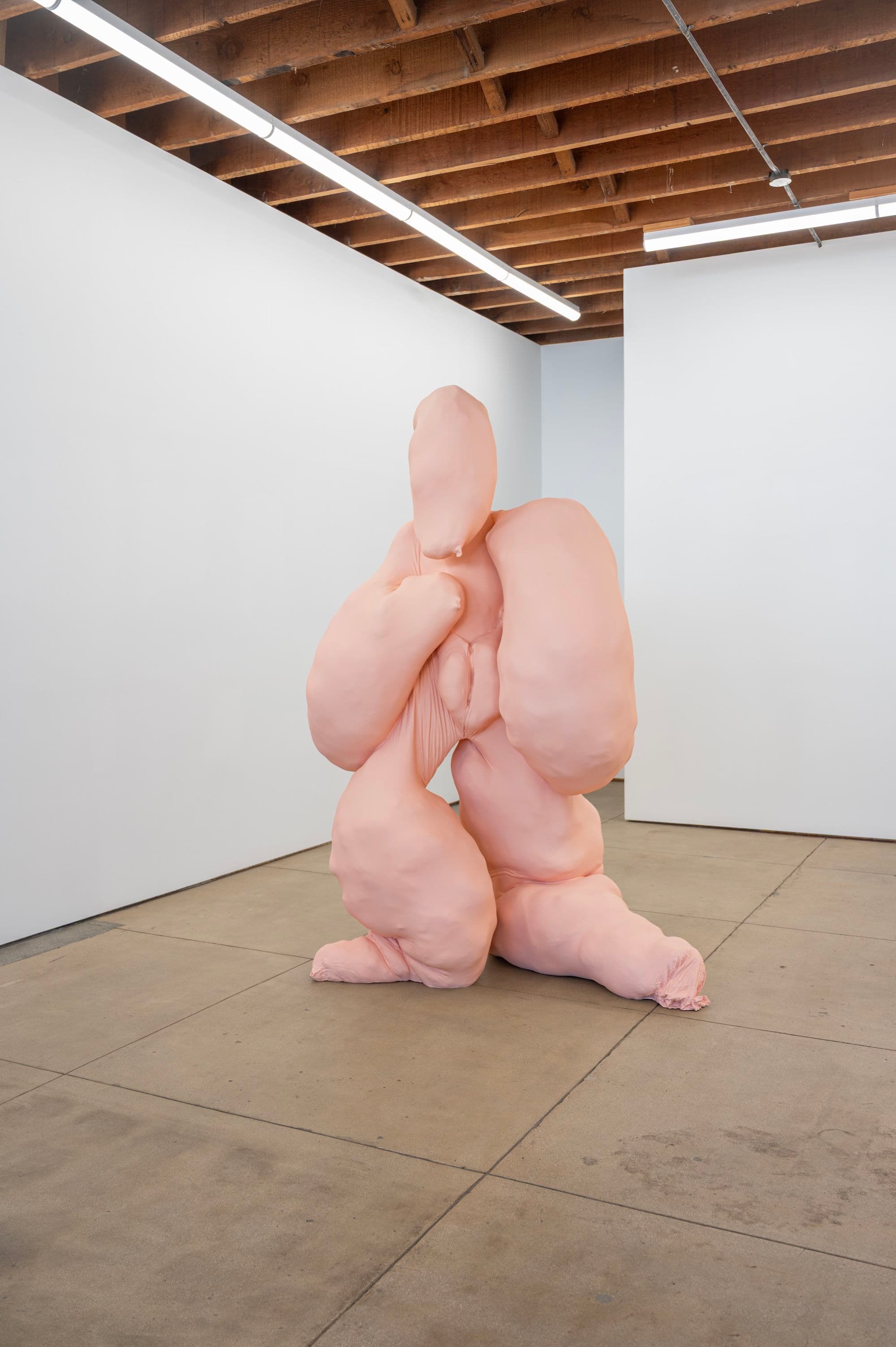 Polly Borland — Blobs and Bod — image 3 of 5