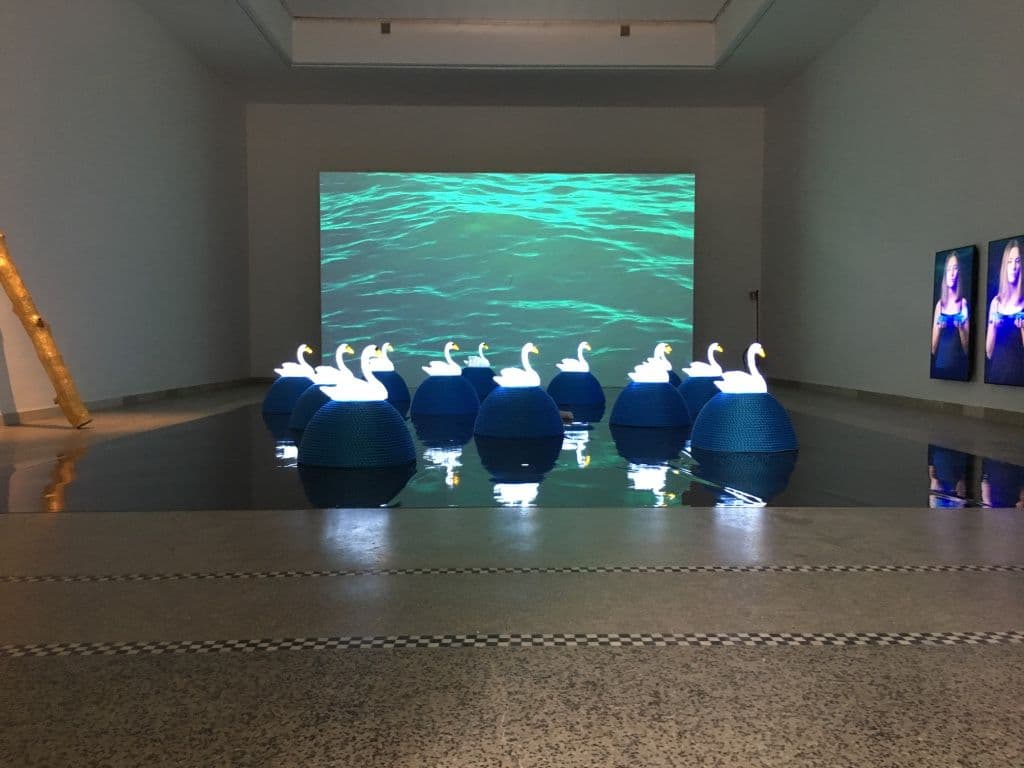 Jana Zelibska — Swan Song: Now — image 4 of 5