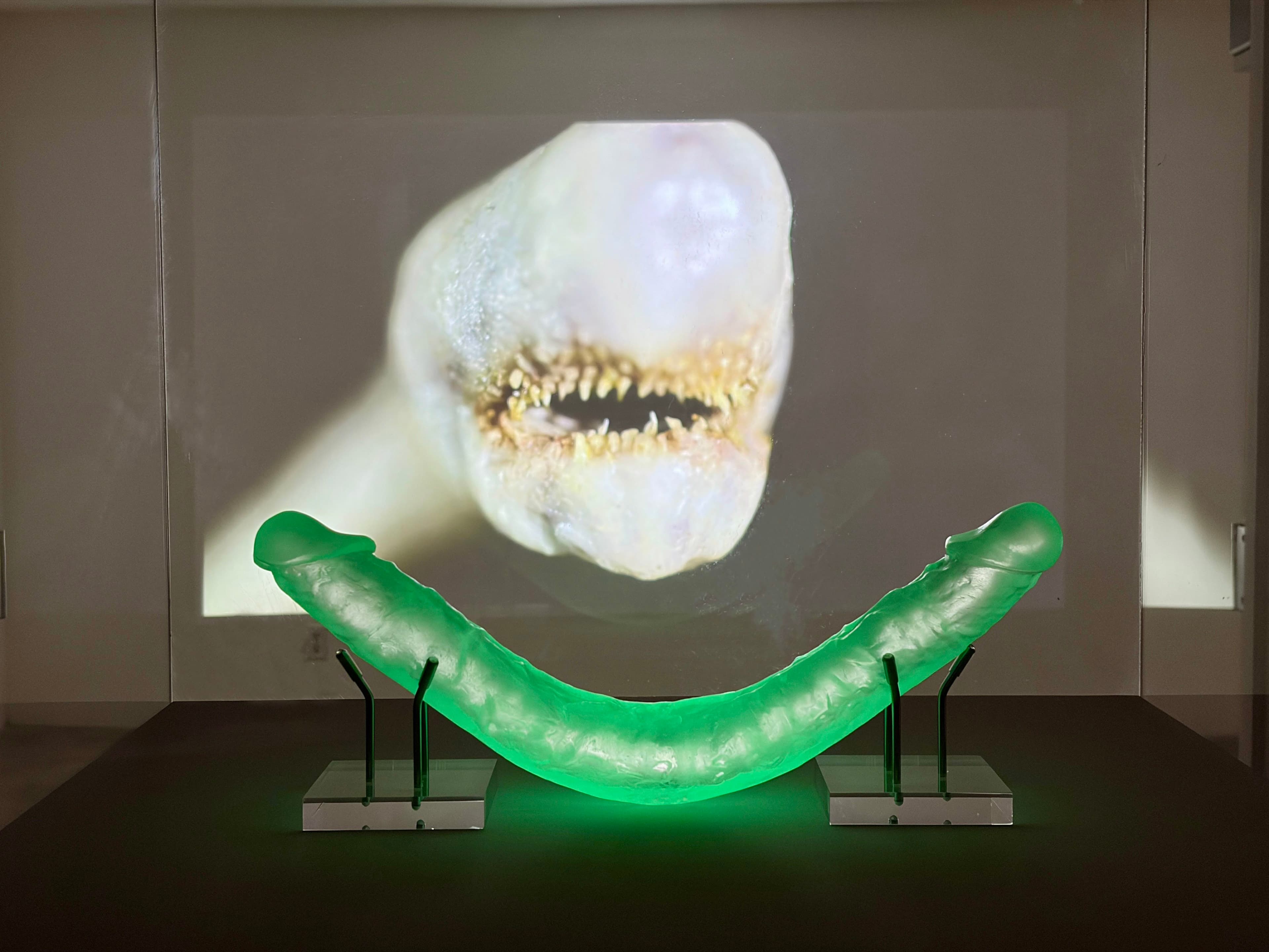 Phallus :: Fascinum :: Fascism