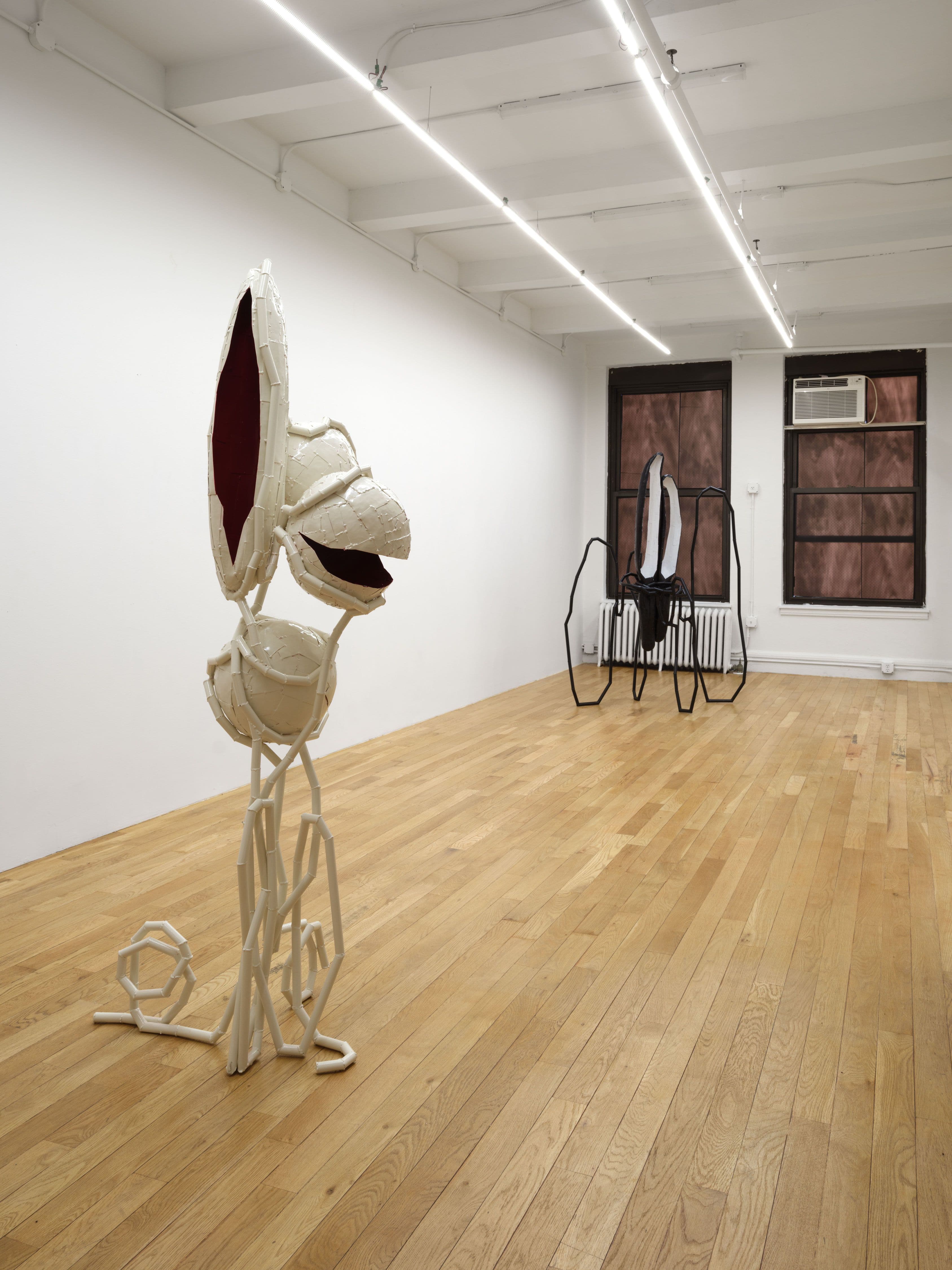 Indrikis Gelzis — Bingo Gaze — image 3 of 8