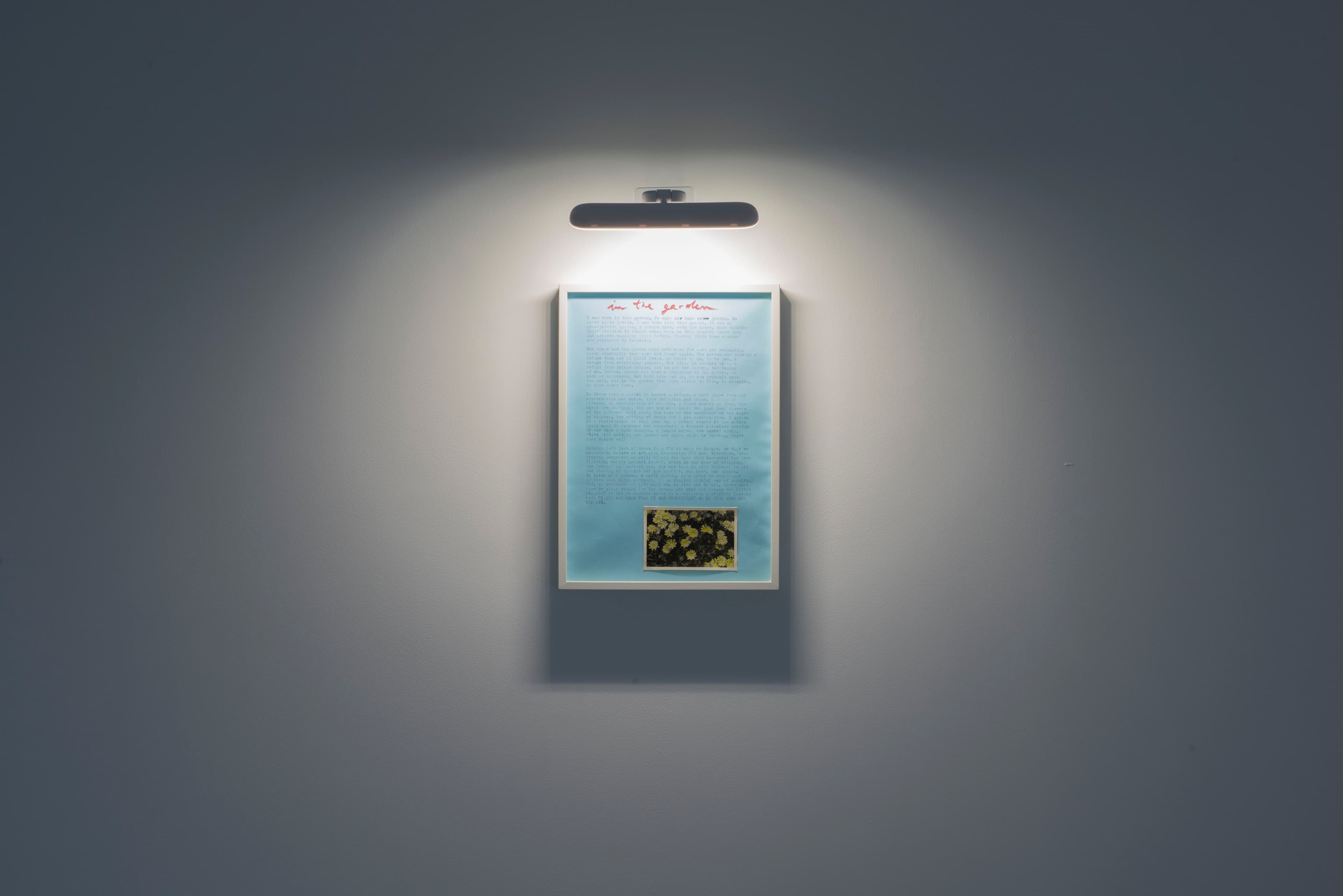Daniel Blaufuks — Avant-Gardens (Part II): Jardim Cinema — image 6 of 6