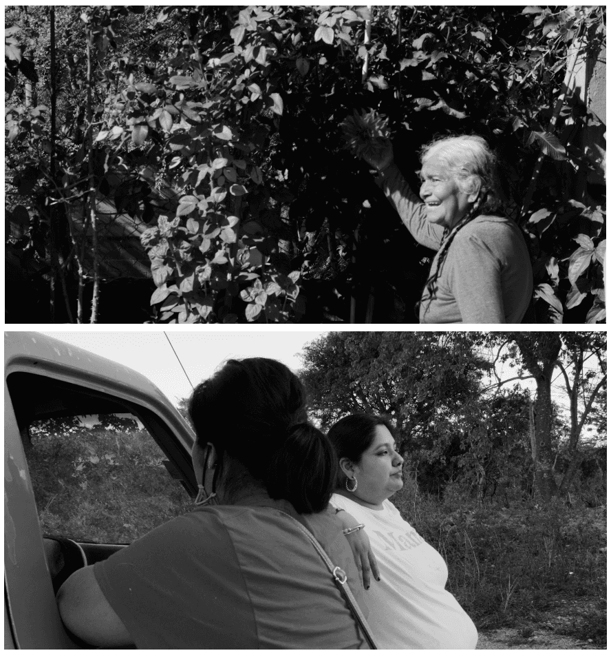 Group Exhibition — Herencia Viviente: Living Inheritance