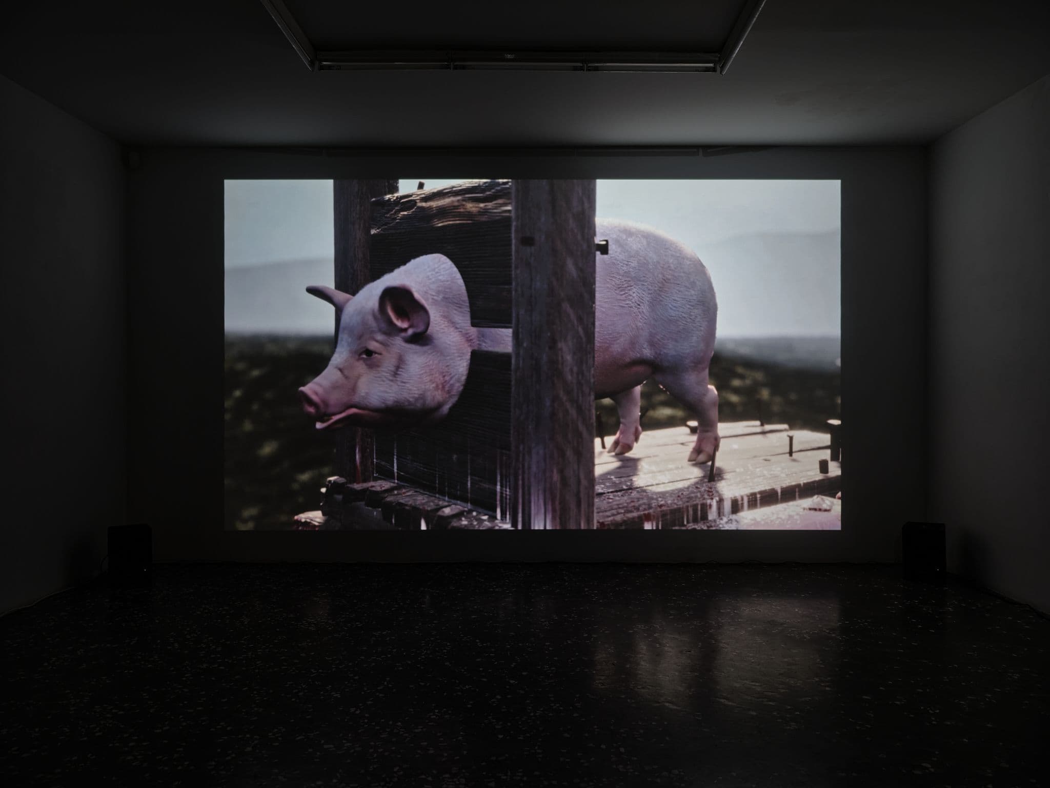 Caroline Poggi & Jonathan Vinel — La Fille Qui Explose — image 3 of 7