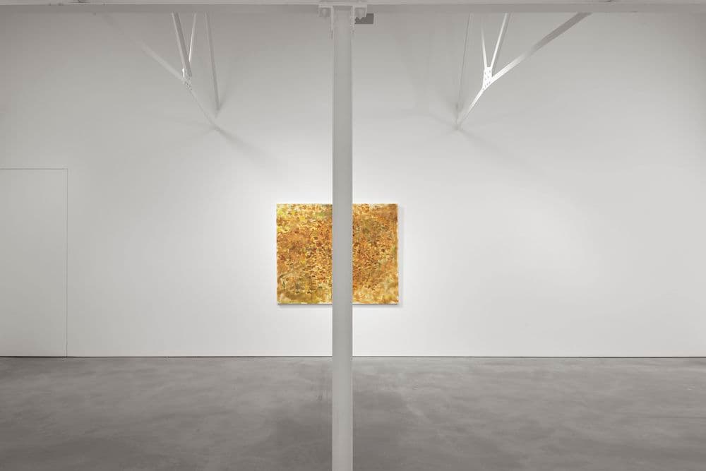 Trevor Shimizu — Past/Future — image 7 of 8