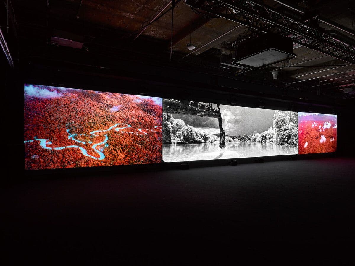 Richard Mosse — Broken Spectre