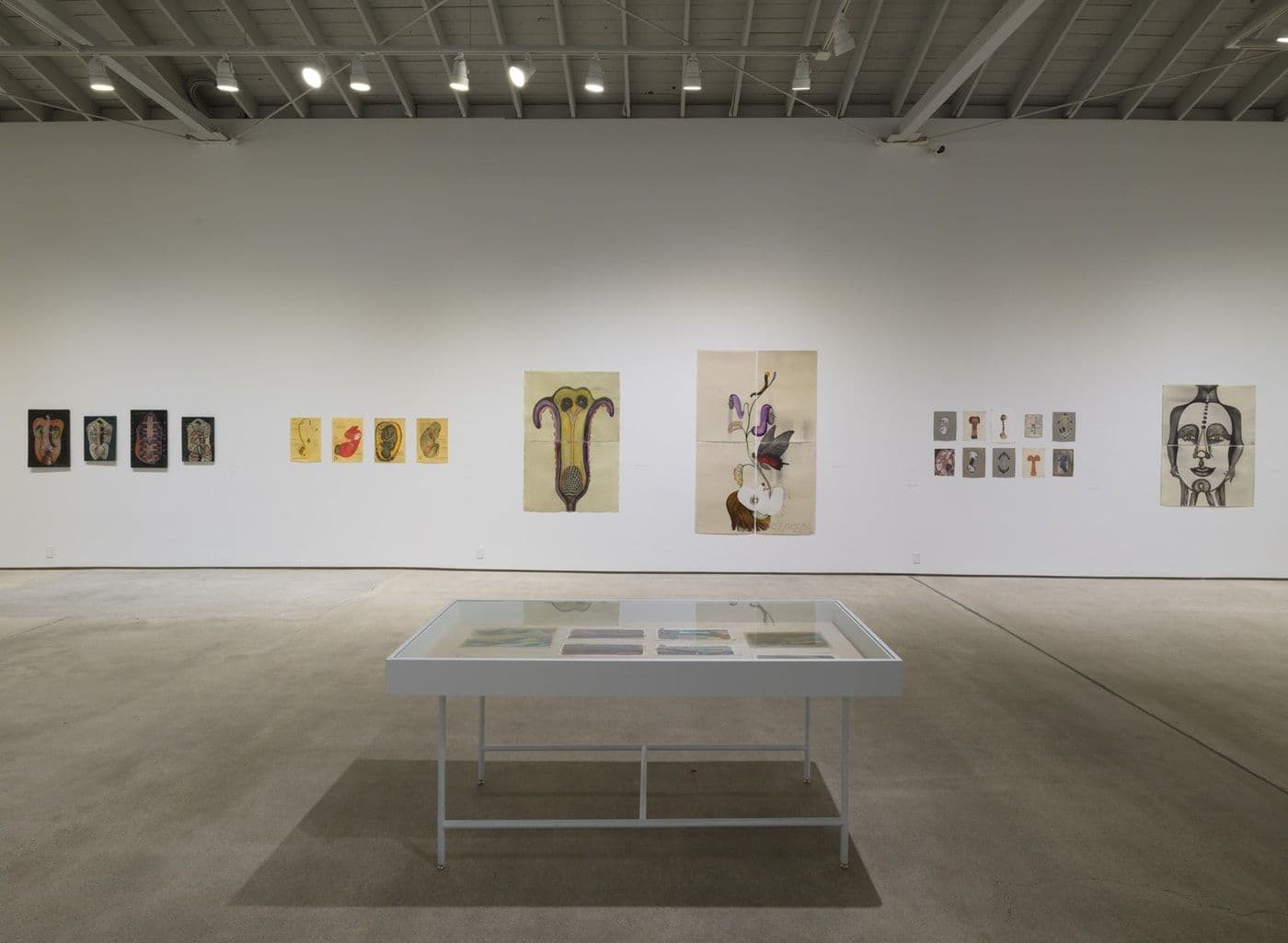 Sandra Vásquez de la Horra — The Awake Volcanoes — image 5 of 8