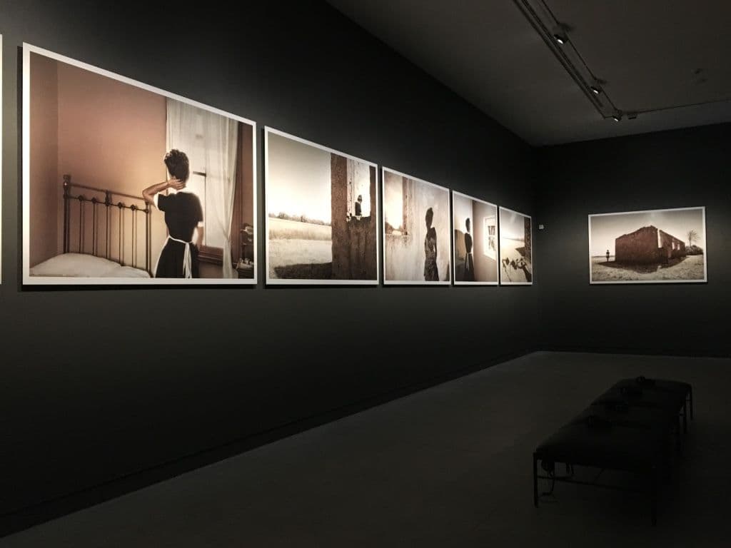 Tracey Moffatt — My Horizon — image 2 of 4