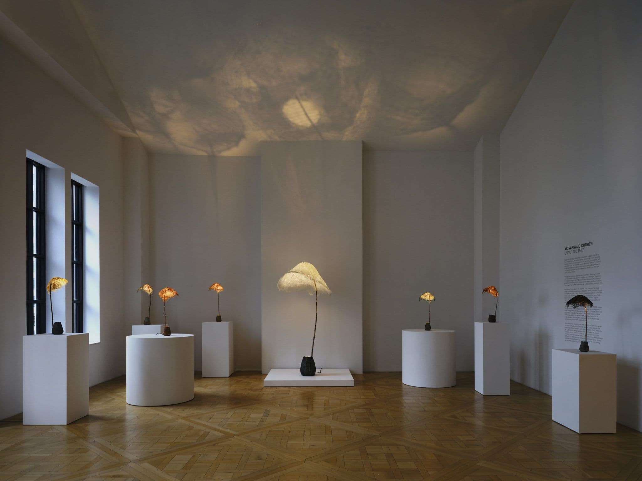 Aki & Arnaud Cooren — Under the Reef — image 1 of 3