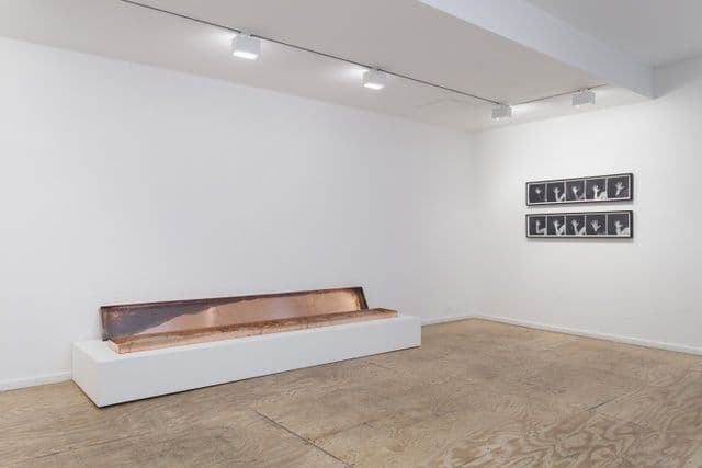 Robert Kinmont — trying to return home educated — image 7 of 8