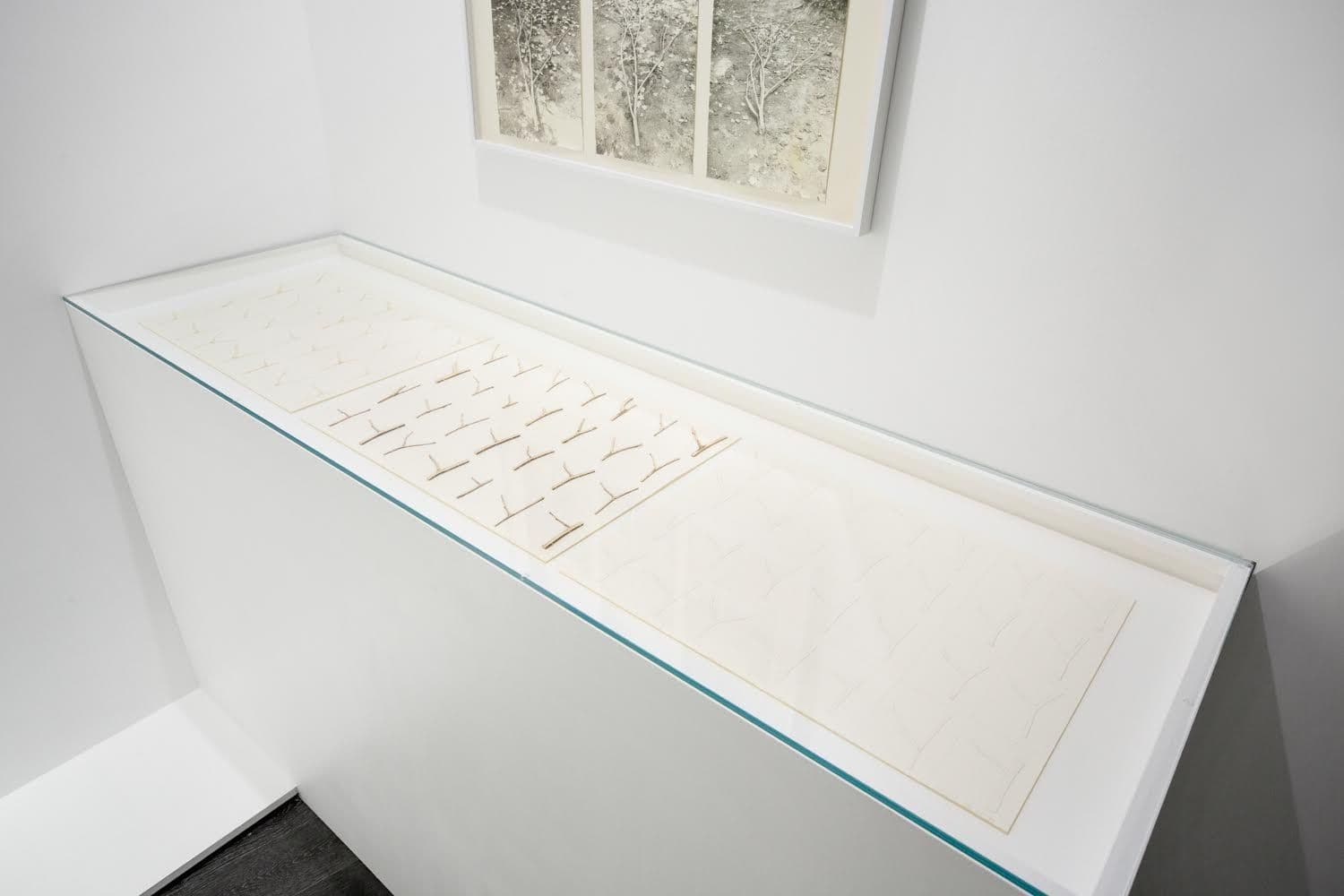 Hannah Villiger — All the Lonely Things My Hands Have Done — image 7 of 7