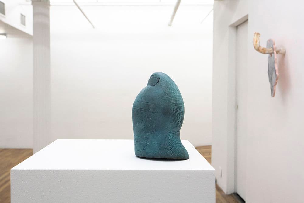 Rachel de Joode — Soft Inquiry — image 4 of 4