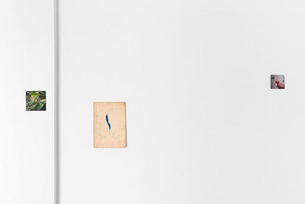 Dani Soter — Dani Soter — image 5 of 8