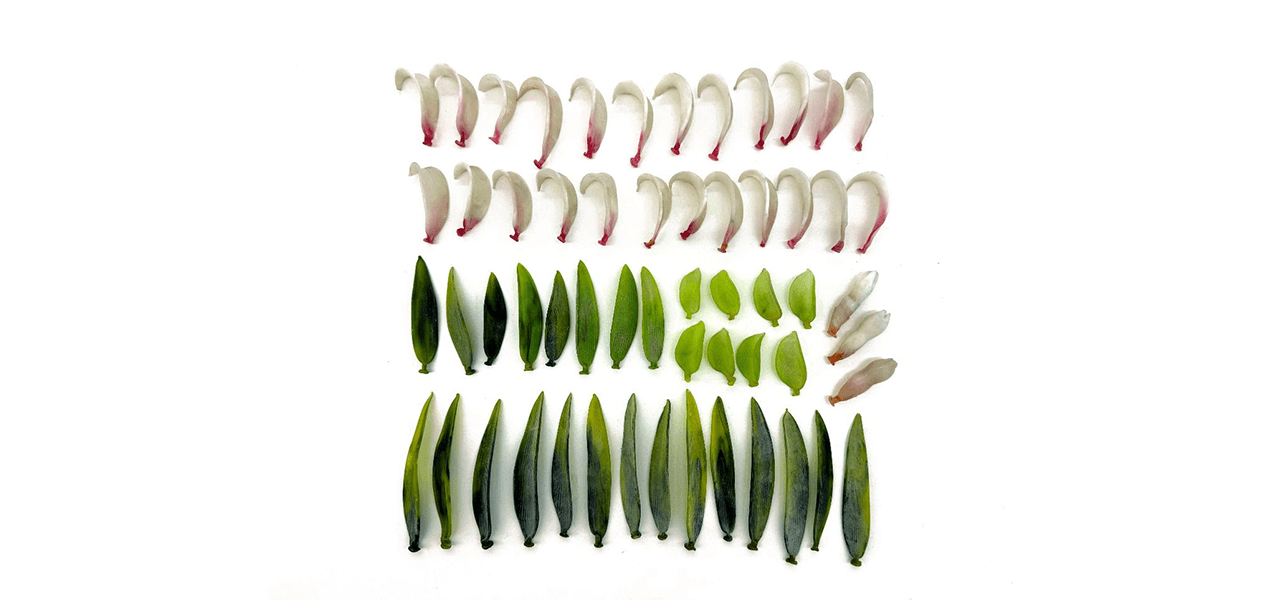 Rachel Youn — Pleasure Circuit