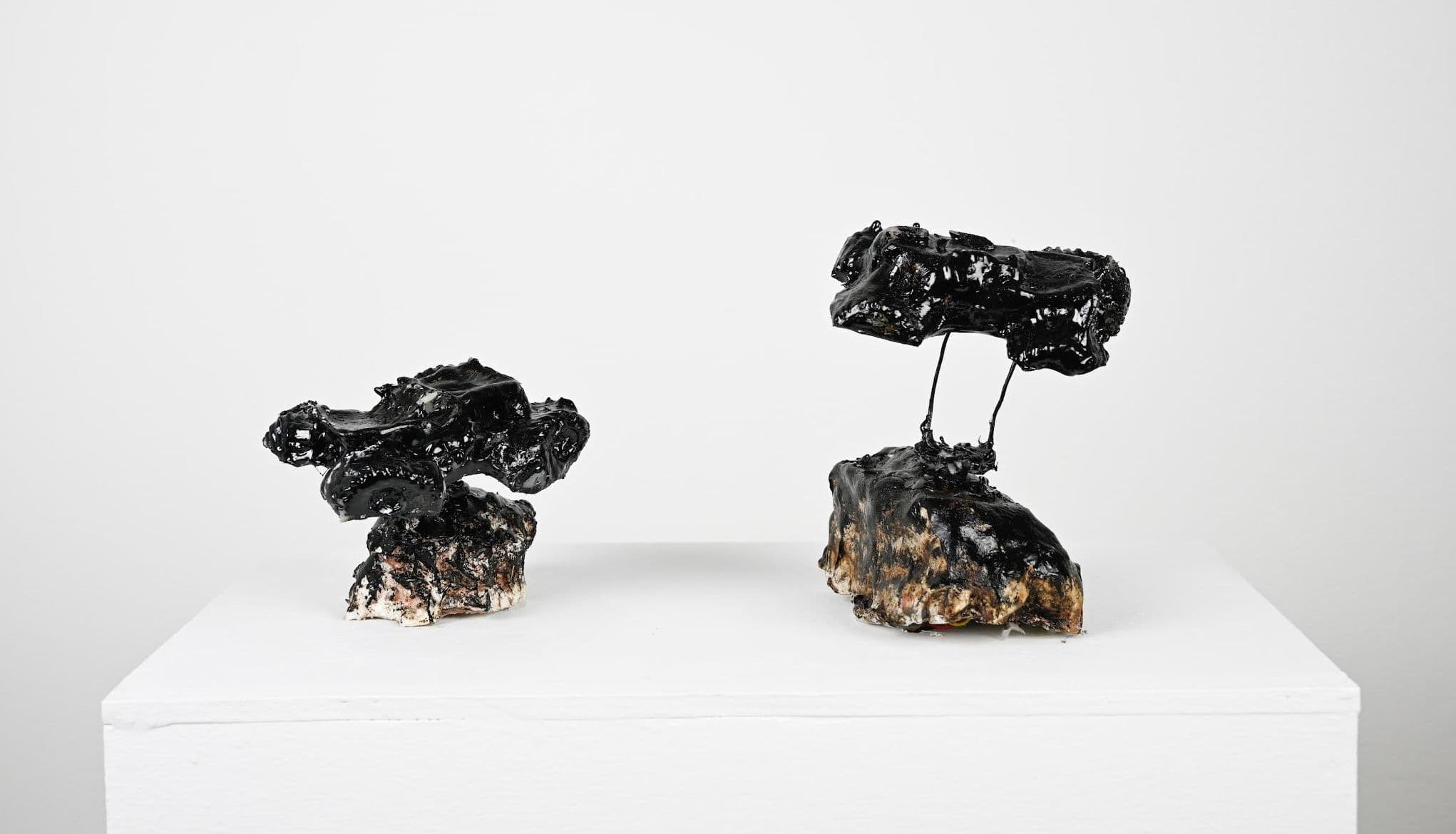 Group Exhibition — Leaves, Machines, and Color Usurped