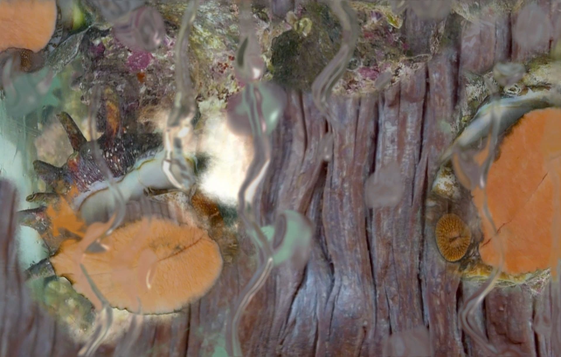 Jane Wilson & Louise Wilson — Altogether — image 2 of 2