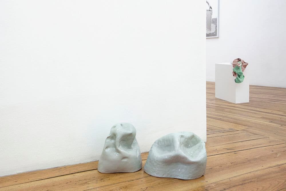 Rachel de Joode — Soft Inquiry — image 3 of 4