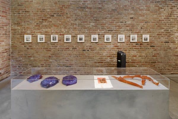 Tue Greenfort — Wunderkammer — image 5 of 5