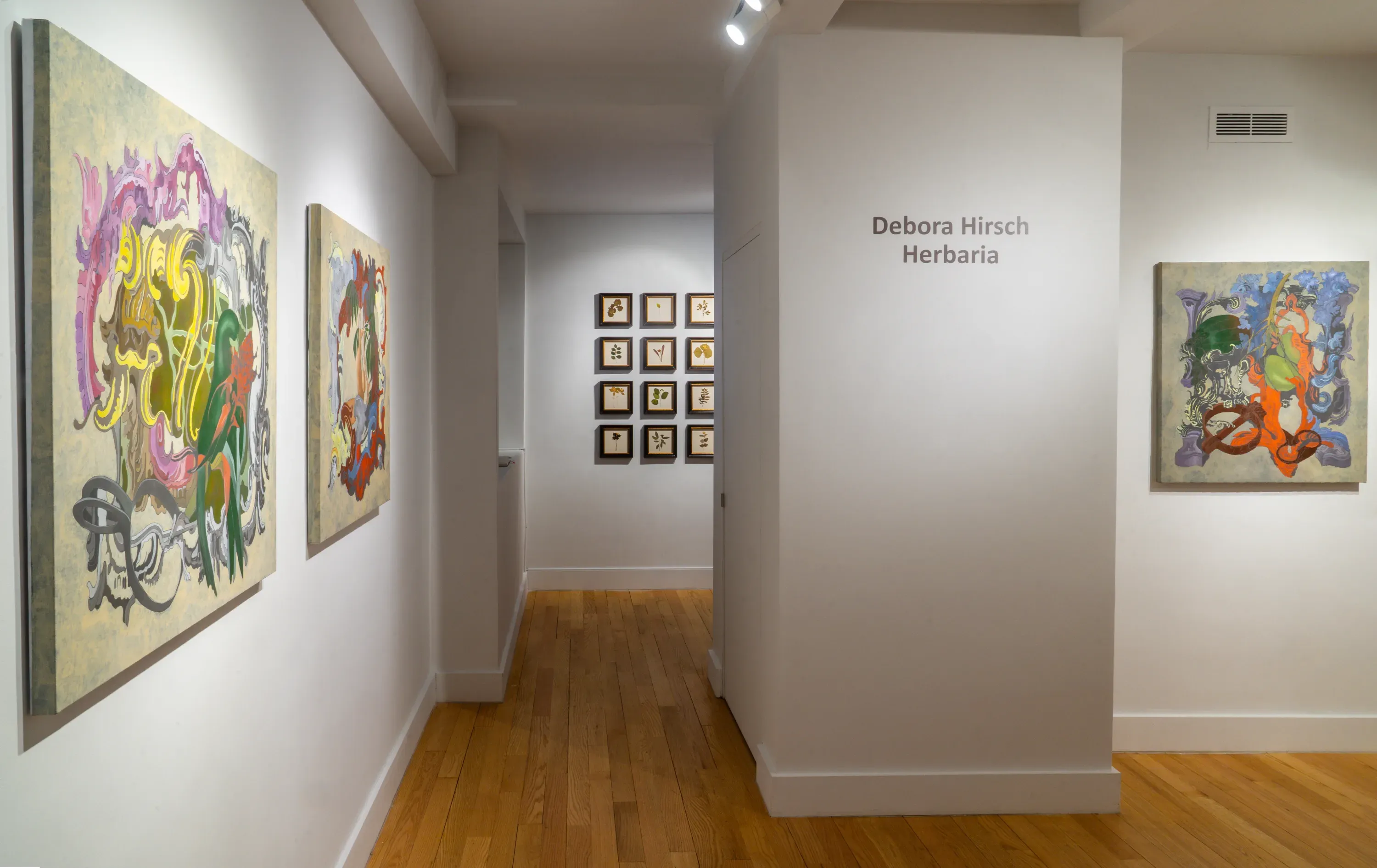 Debora Hirsch — Herbaria — image 4 of 8