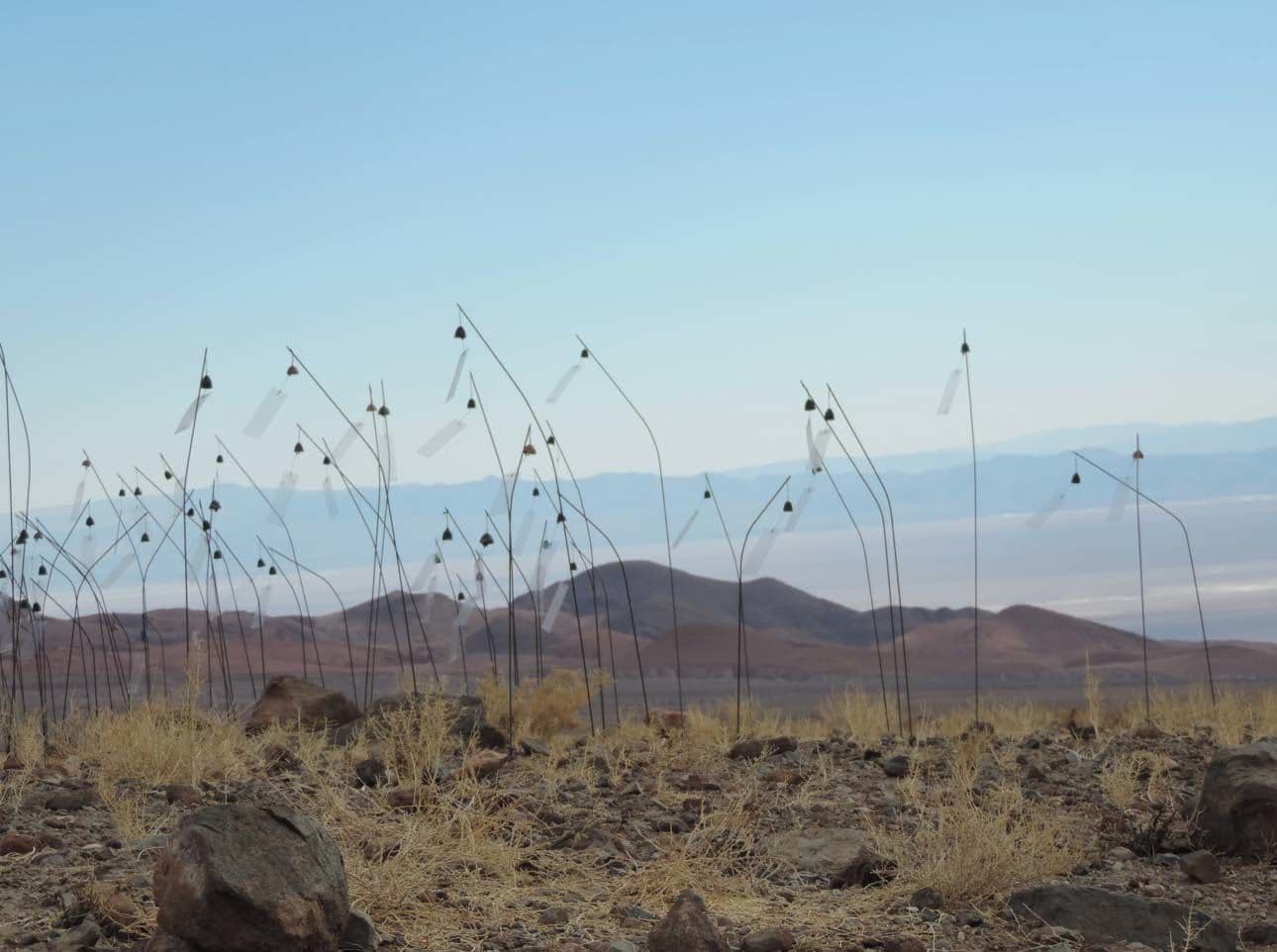 Christian Boltanski — Animitas (Chili)