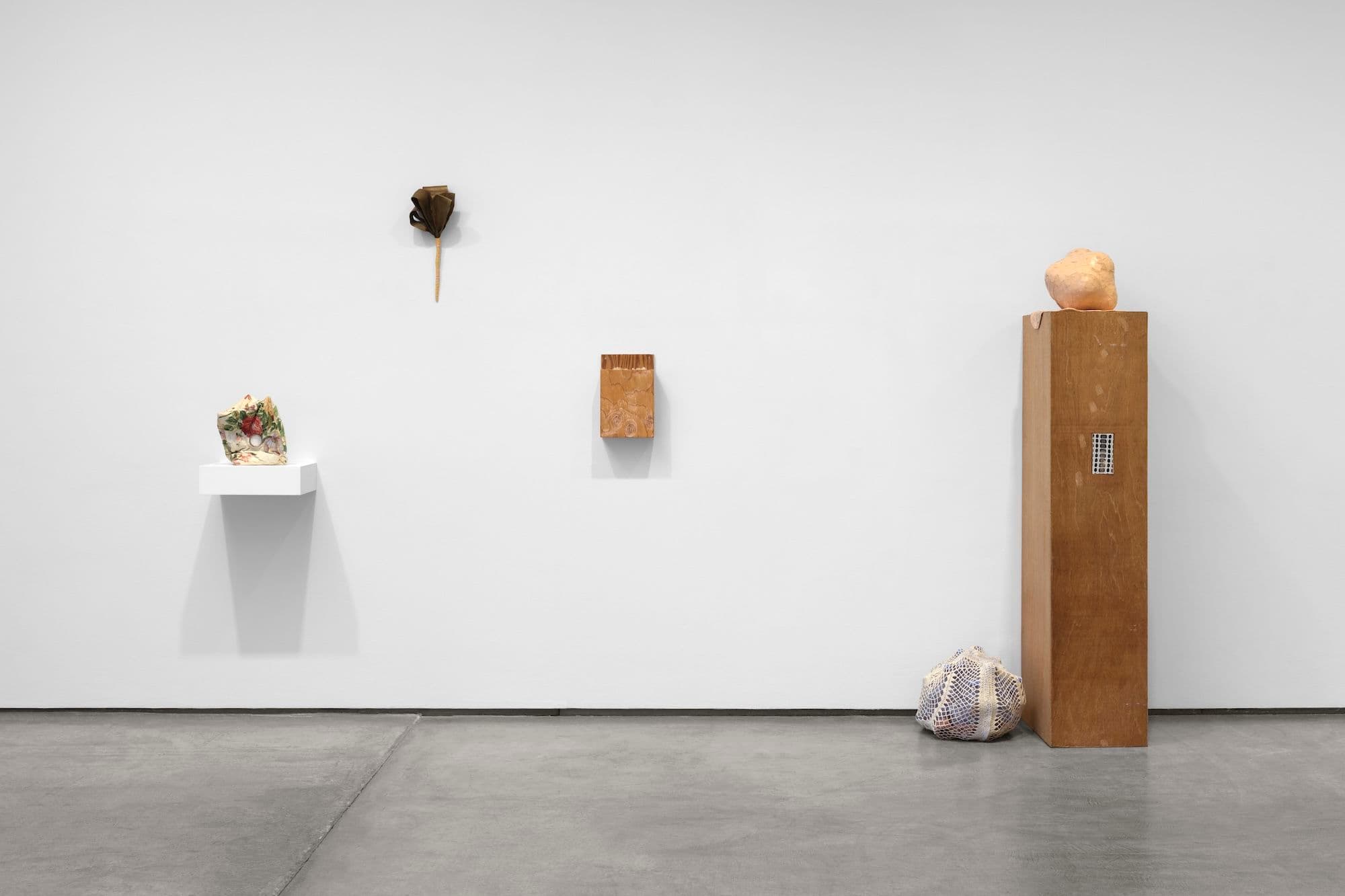 Veronica Ryan — Retrieval — image 5 of 8