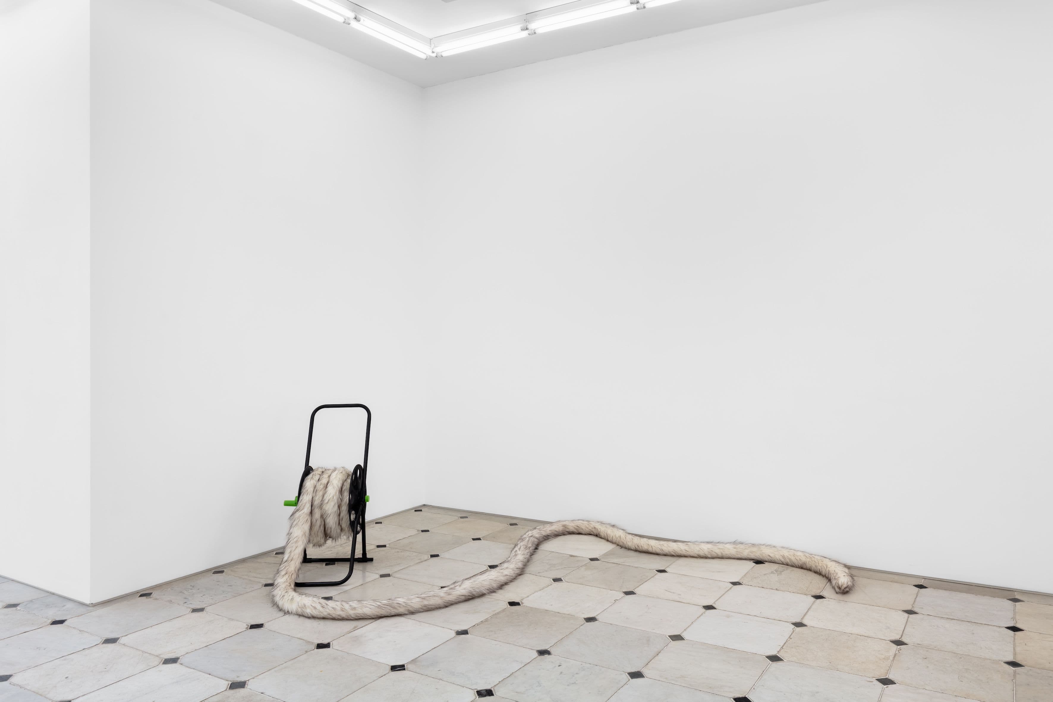 Nicole Wermers — Tails & Fainters — image 5 of 8