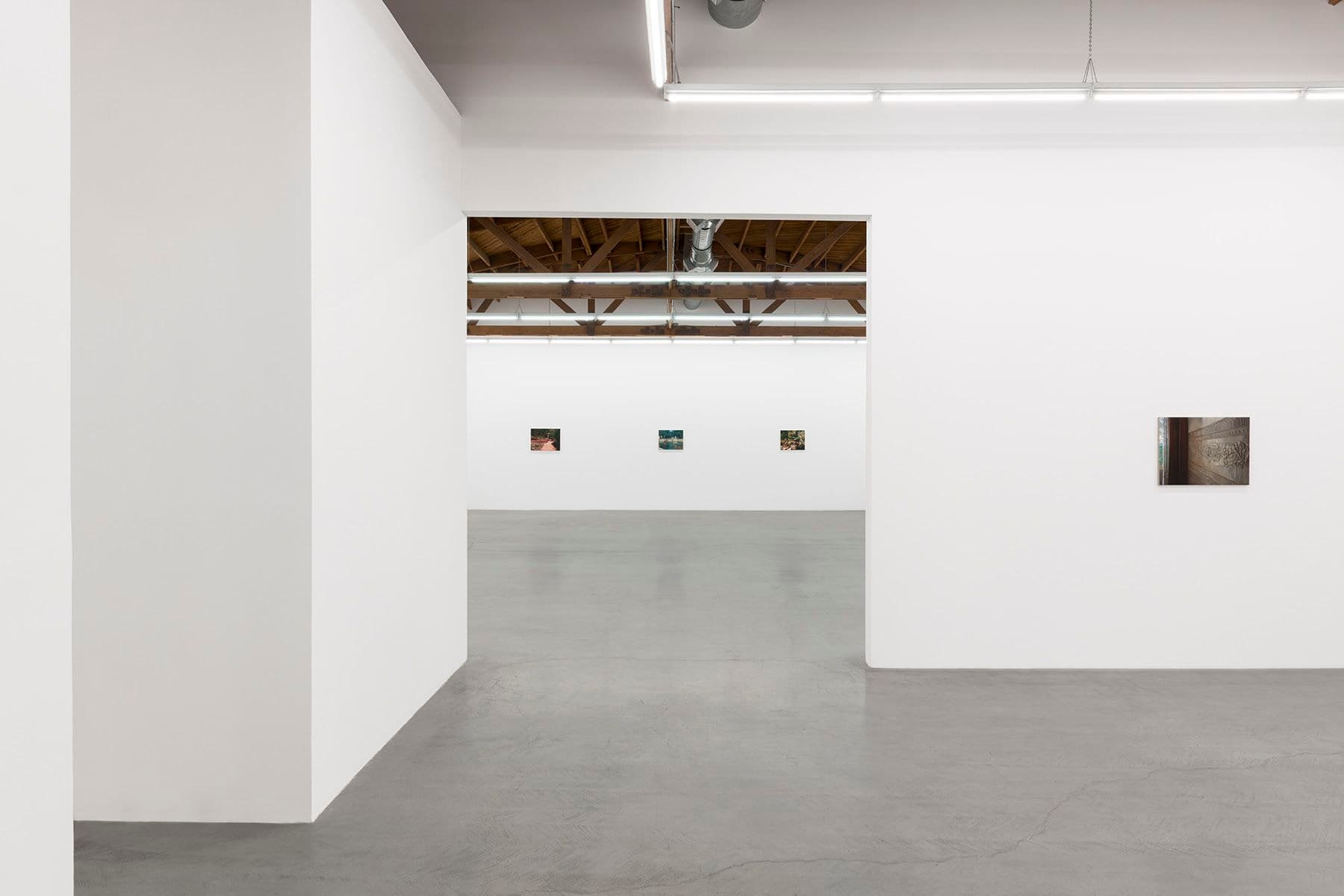 Ben Horns — Another Nature — image 2 of 4
