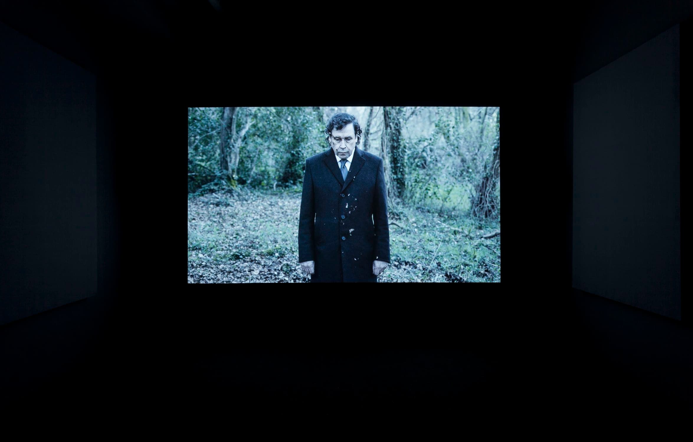 Willie Doherty — Willie Doherty — image 4 of 7