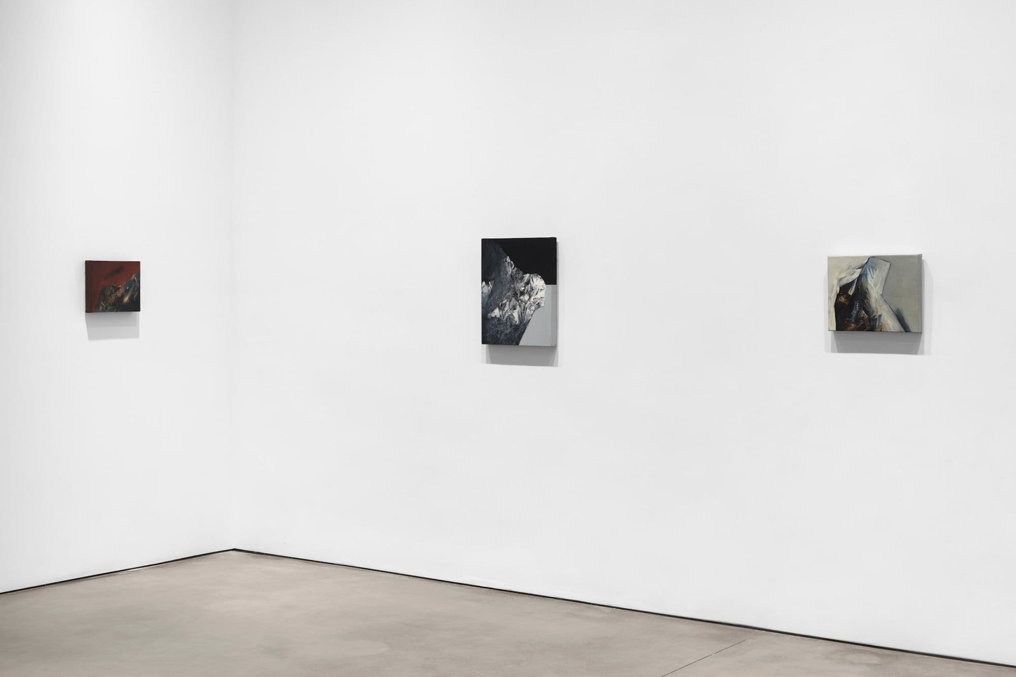 Jay DeFeo — Garnets on the Boulder: Paintings of the 1980s — image 9 of 11
