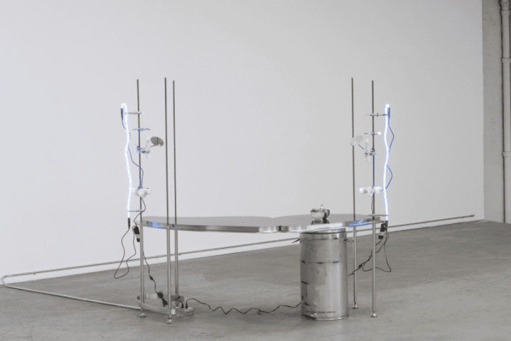 Elaine Cameron-Weir — Snake With Sexual Interest In Own Tail — image 5 of 7