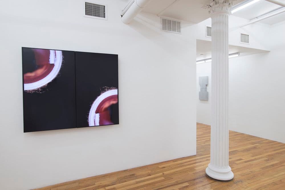David J. Merritt — Flesh of My Flesh — image 3 of 4