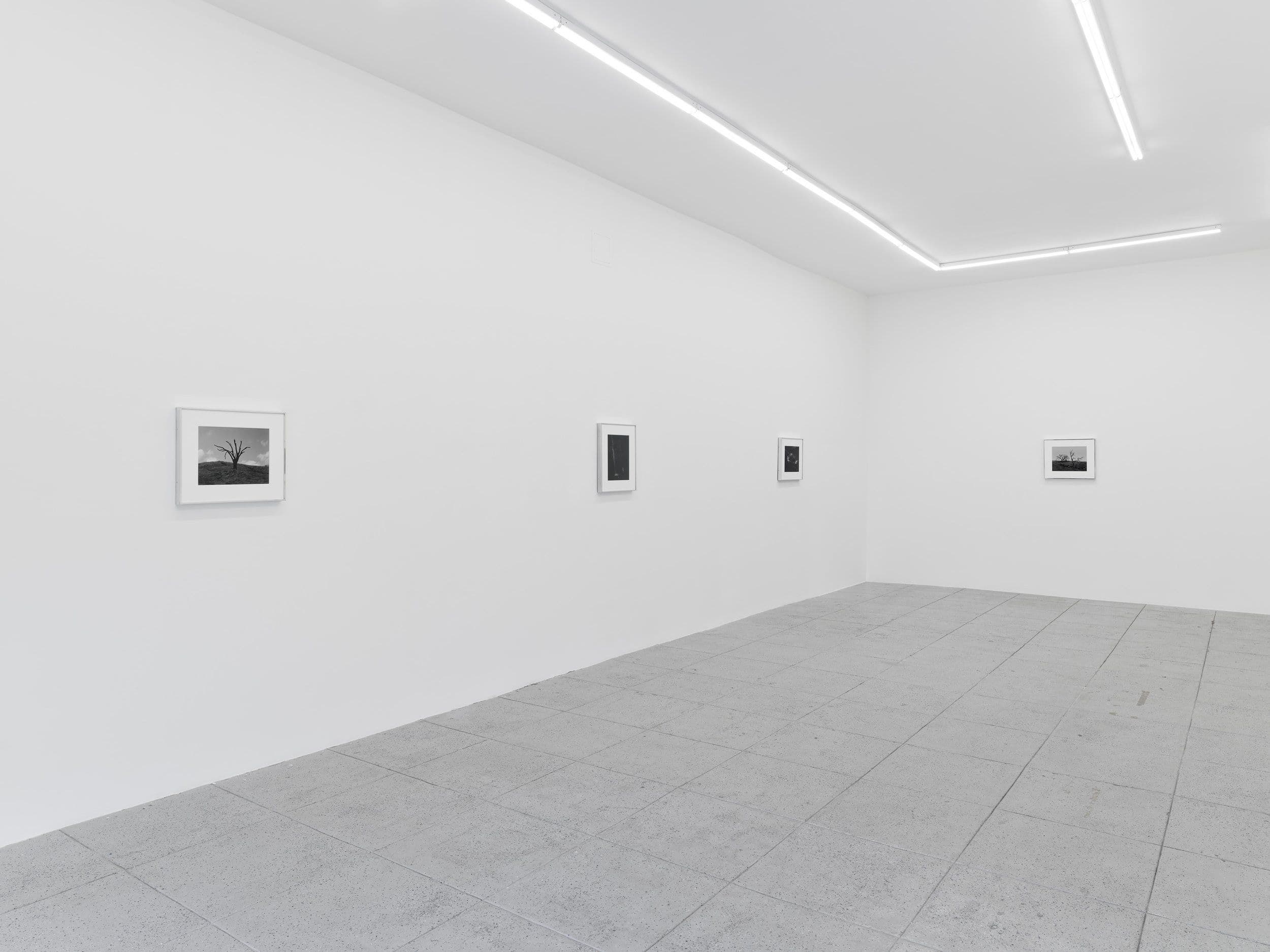 Mark Armijo McKnight — Posthume — image 1 of 2
