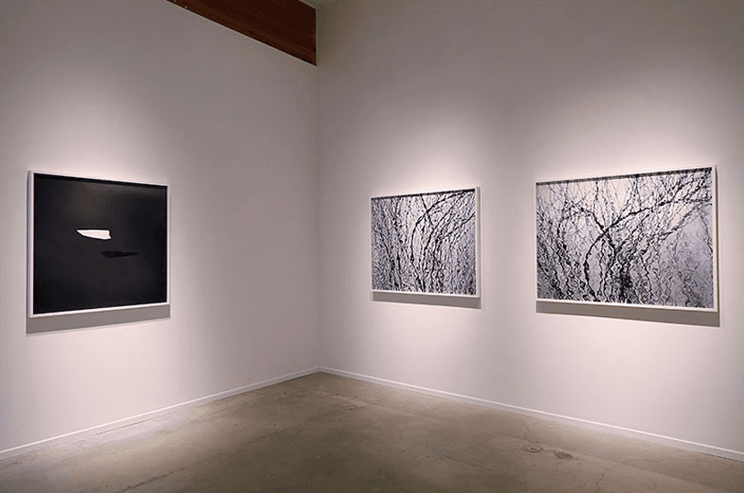 Carolyn Marks Blackwood — On the Edge — image 5 of 6