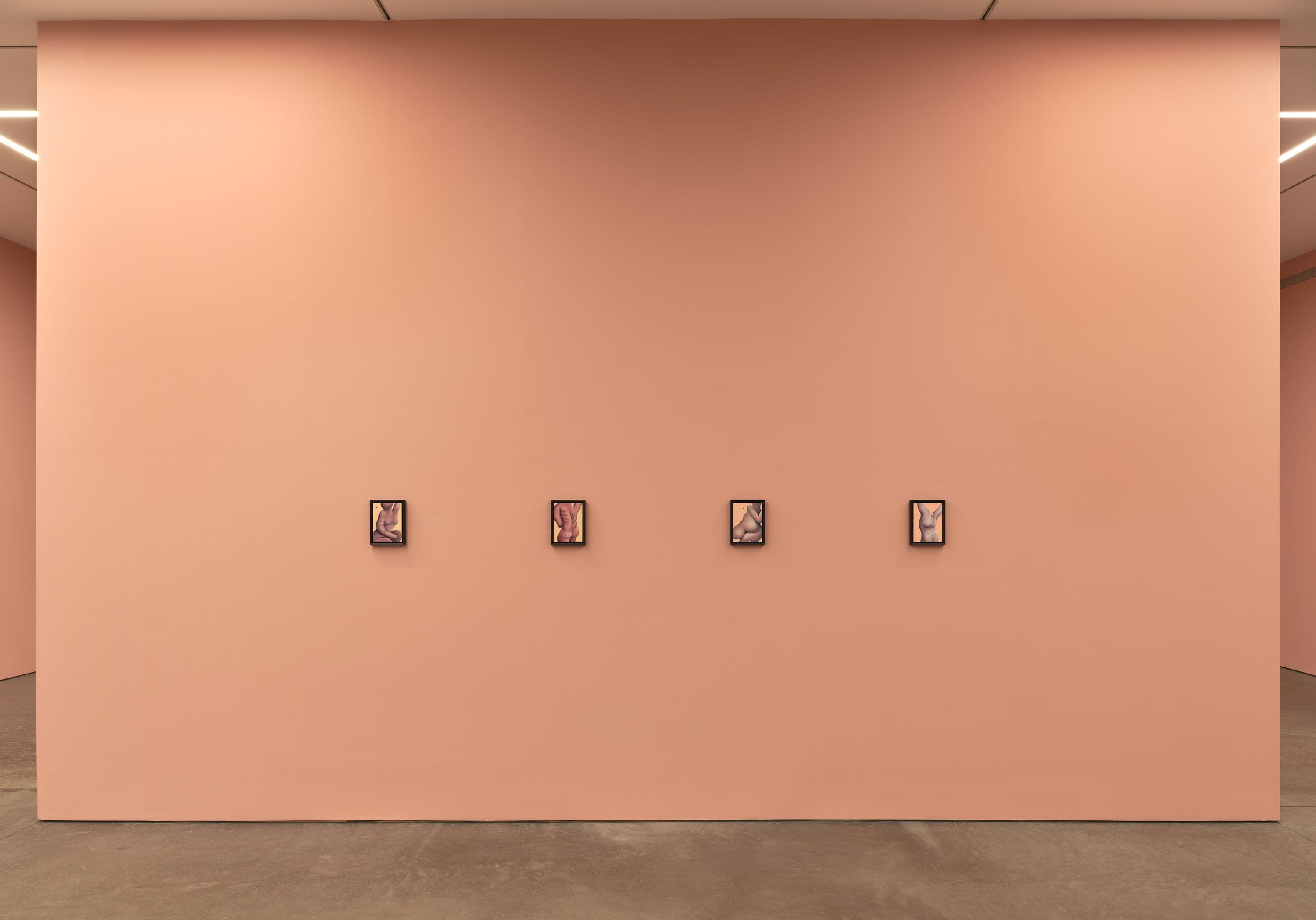 Nicolas Party — Dead Fish — image 12 of 12