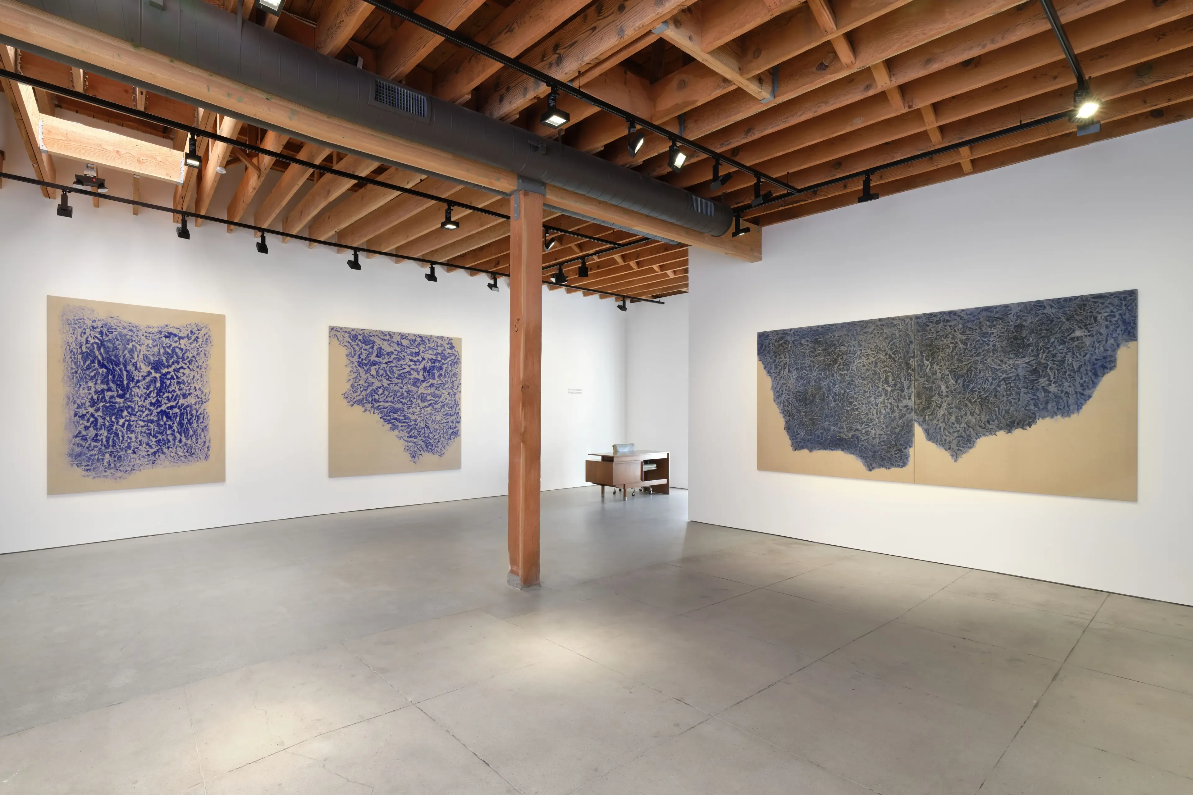 Vicky Colombet — Flying Back Home — image 6 of 7