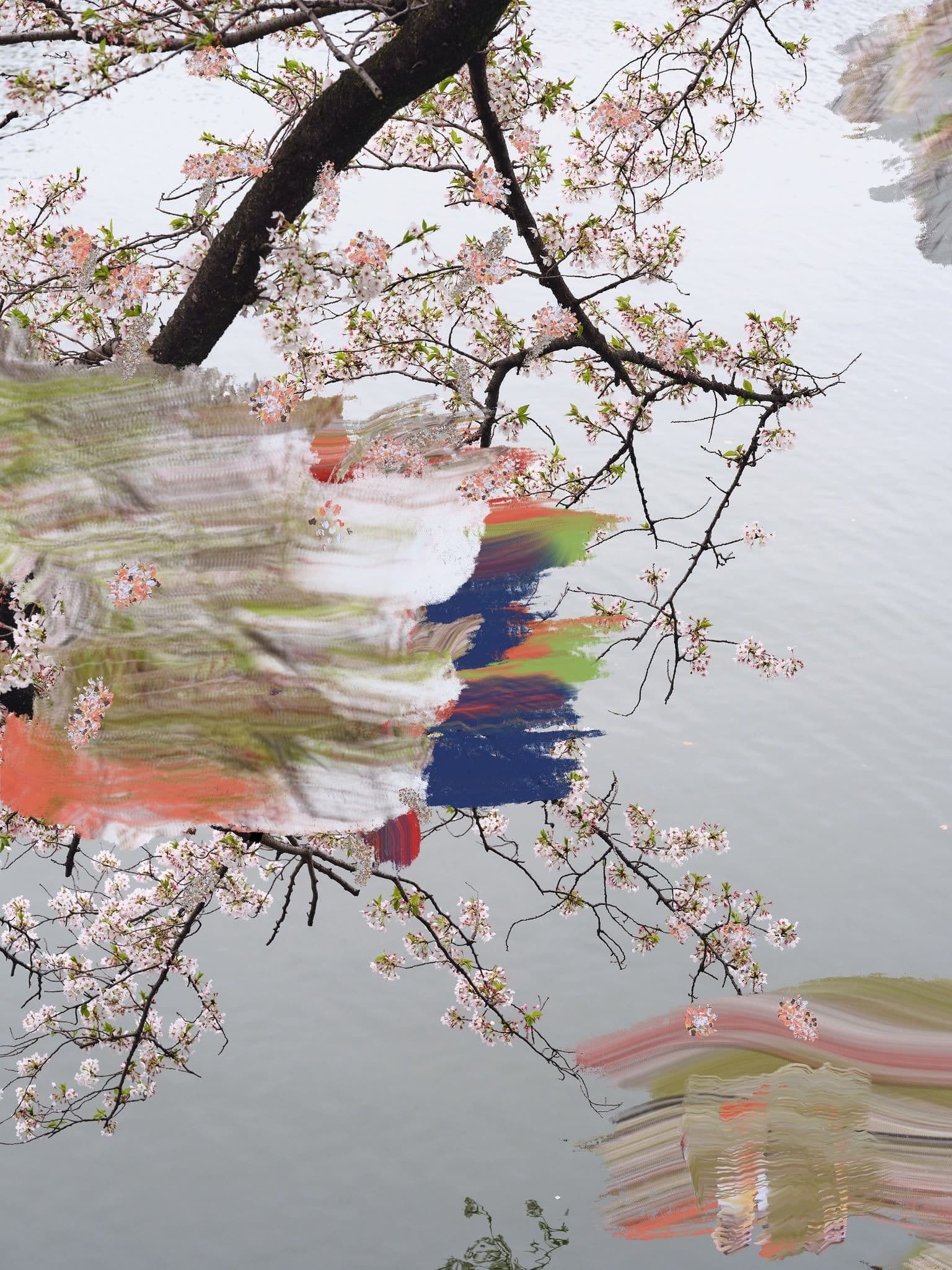 Sandra Kantanen — Bamboo Whispers in Fading Light