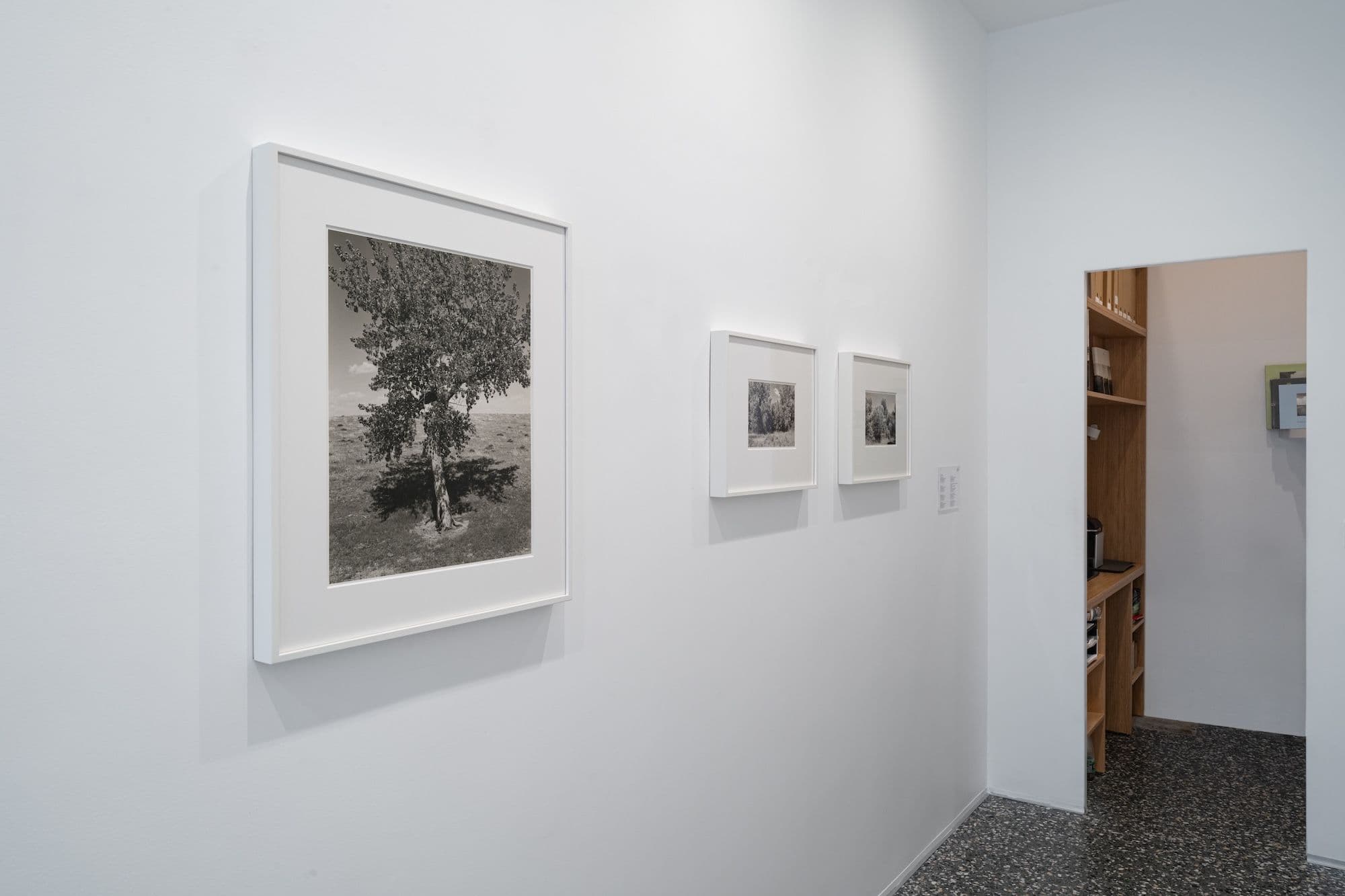 Robert Adams — Robert Adams — image 7 of 7