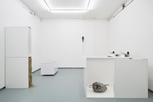 Petra Feriancová & Nicolás Lamas — Becoming Animal — image 2 of 2