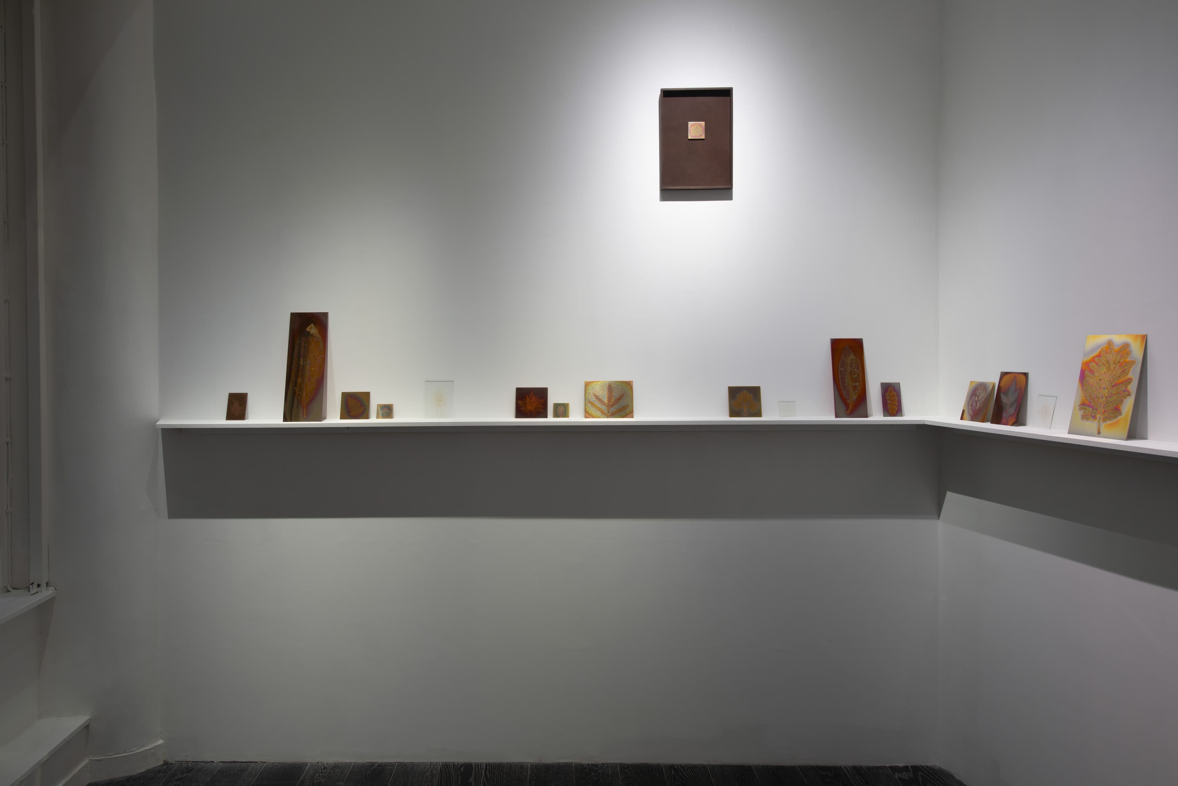 Hanako Murakami — Avant-Gardens (Part III): Sufficiently Near — image 3 of 7