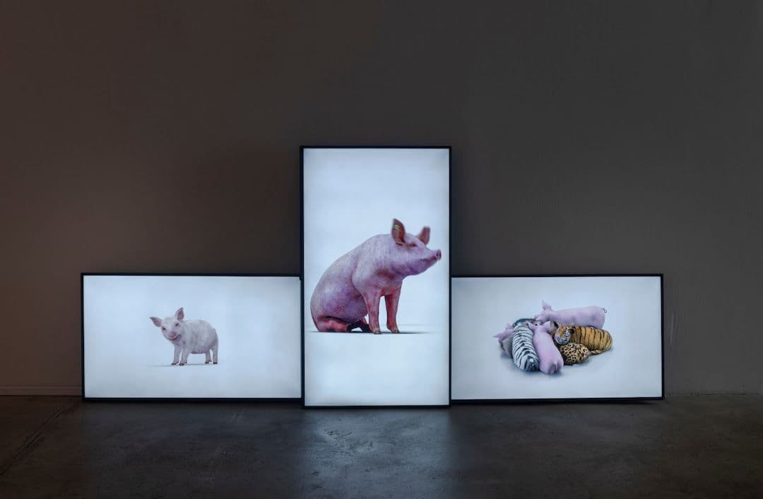 Heather Dewey-Hagborg — Hybrid: An Interspecies Opera​ — image 2 of 2