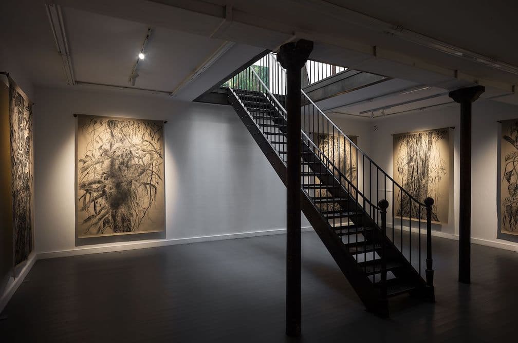 Nohemí Perez — El Jardín de Amado — image 6 of 8