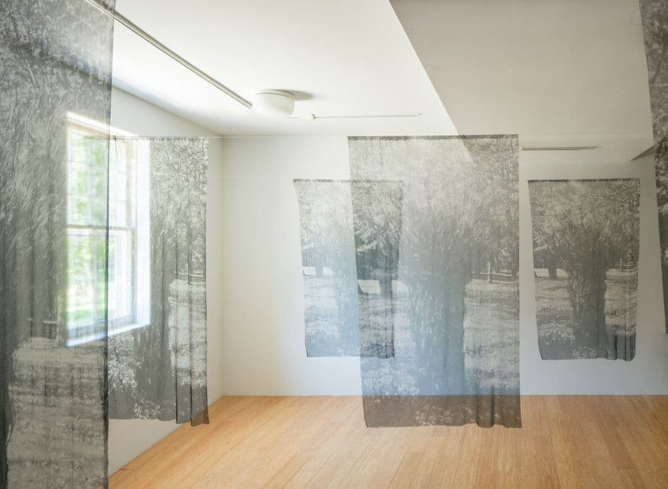 Maren Hassinger — Maren Hassinger — image 1 of 2