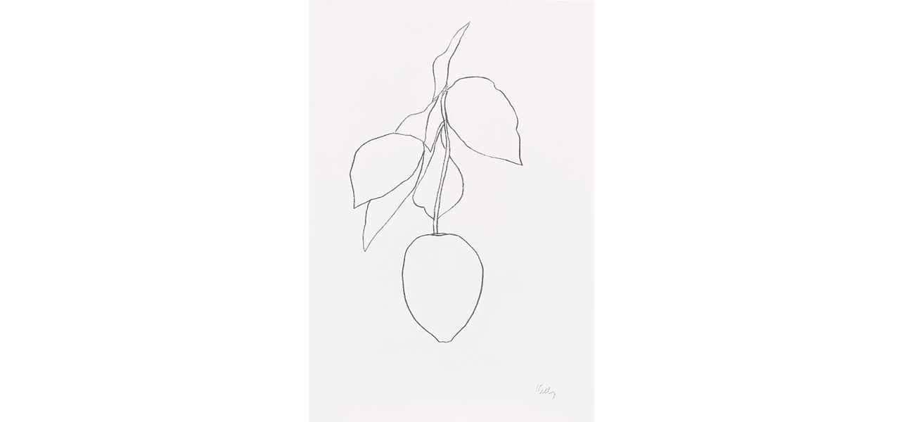 Ellsworth Kelly — Plant Lithographs