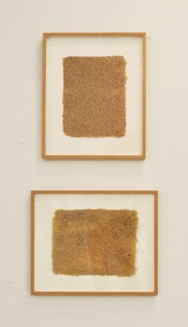 John Cage — Artist and Naturalist — image 8 of 8