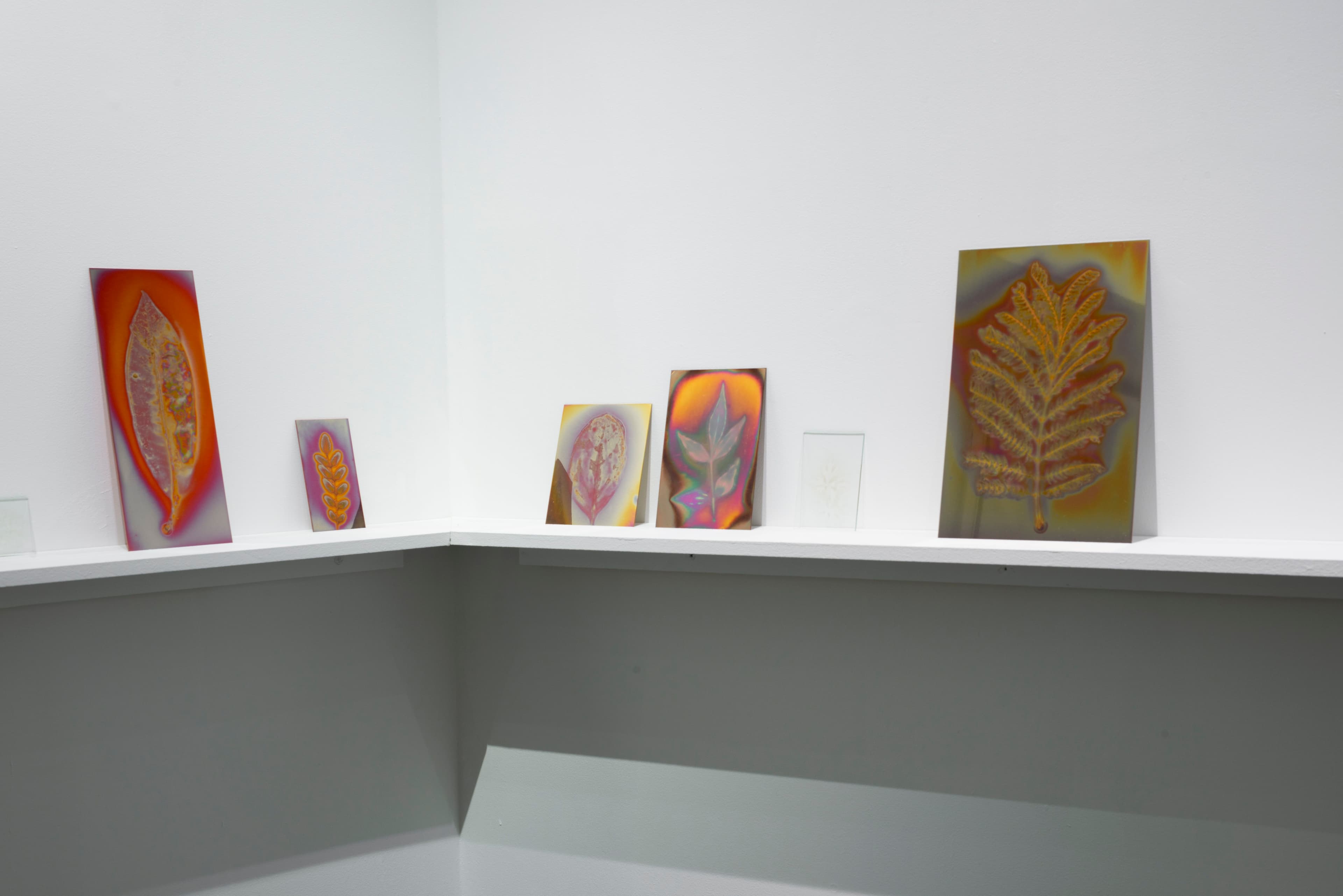 Hanako Murakami — Avant-Gardens (Part III): Sufficiently Near — image 5 of 7