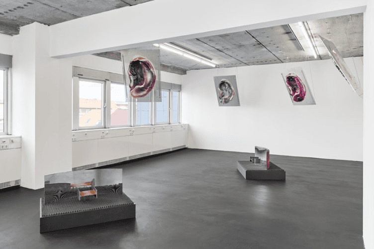 Florian Auer — Complex Harmonic Motion — image 1 of 3