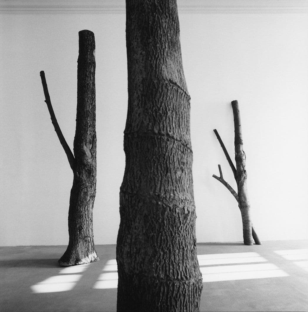 Group Exhibition — Arte Povera