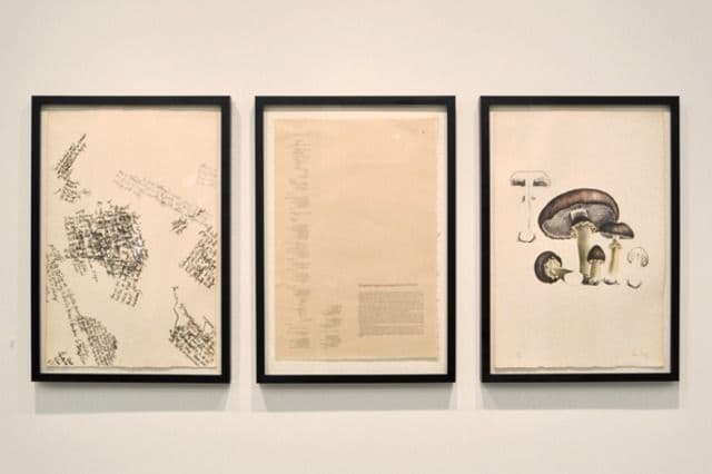 John Cage — Artist and Naturalist — image 2 of 8