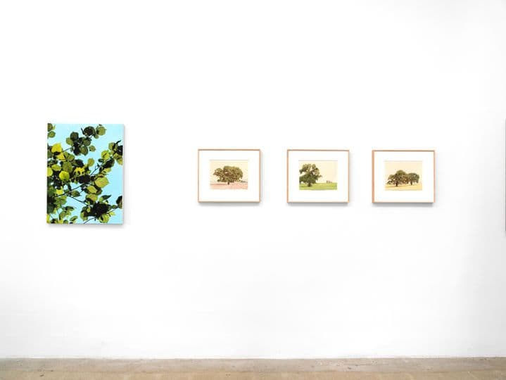 Group Exhibition — Tell Me If You Want to Go — image 2 of 5