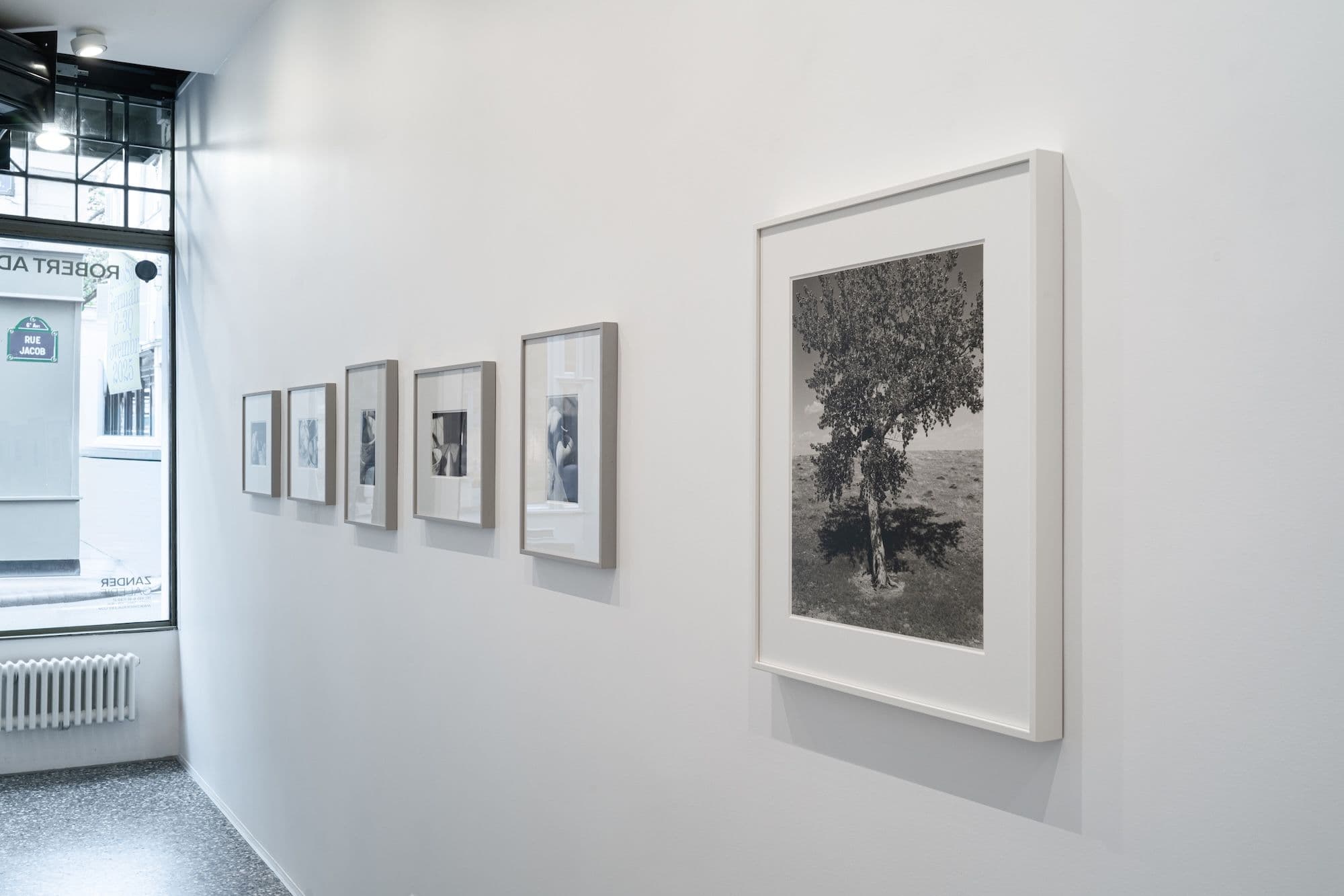 Robert Adams — Robert Adams — image 5 of 7