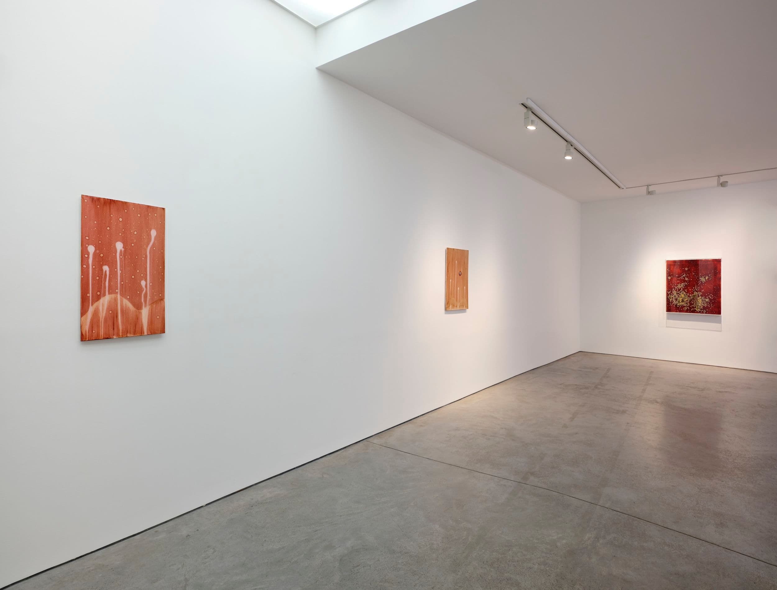 Michel Blazy — Michel Blazy — image 3 of 5